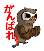 Horned owl sticker #2312041