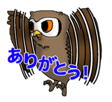Horned owl sticker #2312049