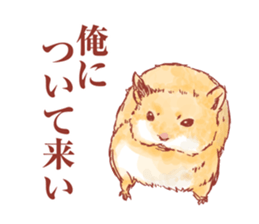 Text and a variety of hamster. sticker #2313040