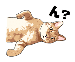 Cats illustration sticker sticker #2315273