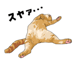 Cats illustration sticker sticker #2315275