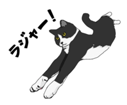 Cats illustration sticker sticker #2315279
