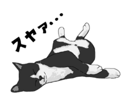 Cats illustration sticker sticker #2315280