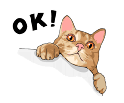 Cats illustration sticker sticker #2315281