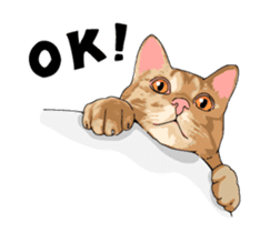 Cats illustration sticker sticker #2315281