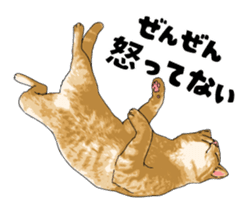 Cats illustration sticker sticker #2315283