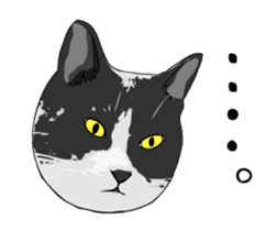 Cats illustration sticker sticker #2315285