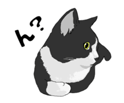 Cats illustration sticker sticker #2315287