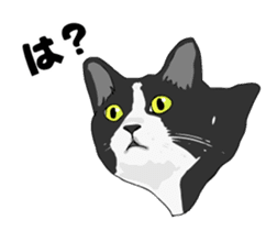 Cats illustration sticker sticker #2315288