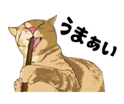 Cats illustration sticker sticker #2315289