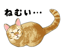 Cats illustration sticker sticker #2315291
