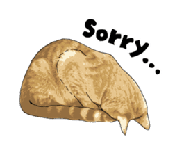 Cats illustration sticker sticker #2315292