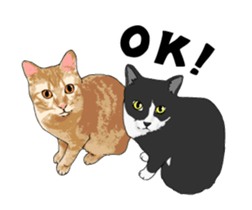 Cats illustration sticker sticker #2315296