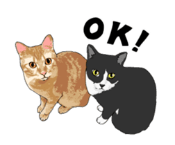 Cats illustration sticker sticker #2315296