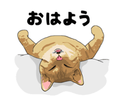 Cats illustration sticker sticker #2315298