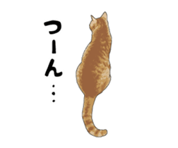 Cats illustration sticker sticker #2315300