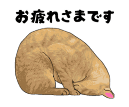 Cats illustration sticker sticker #2315301