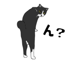 Cats illustration sticker sticker #2315303