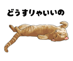 Cats illustration sticker sticker #2315305