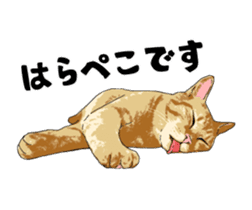 Cats illustration sticker sticker #2315307