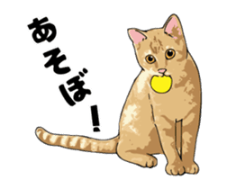 Cats illustration sticker sticker #2315309