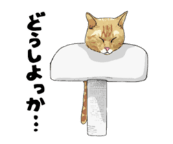 Cats illustration sticker sticker #2315311