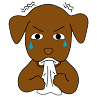 Chocolate Lab Cacao sticker #2319029