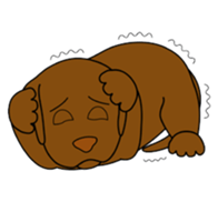 Chocolate Lab Cacao sticker #2319041