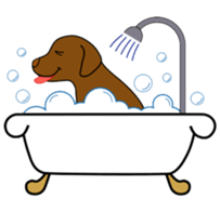 Chocolate Lab Cacao sticker #2319042