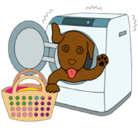 Chocolate Lab Cacao sticker #2319043