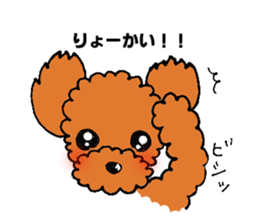A playful toy poodle sticker #2319858