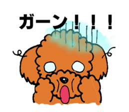 A playful toy poodle sticker #2319860