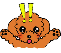 A playful toy poodle sticker #2319861