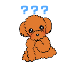 A playful toy poodle sticker #2319864