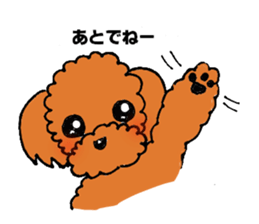 A playful toy poodle sticker #2319865