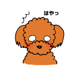 A playful toy poodle sticker #2319869