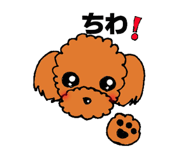 A playful toy poodle sticker #2319879