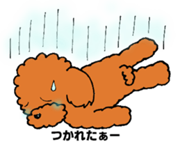 A playful toy poodle sticker #2319884