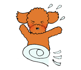 A playful toy poodle sticker #2319885