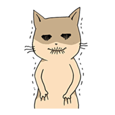 Every day of a funny cat sticker #2320309