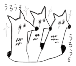 Three little raccoon sticker #2321285