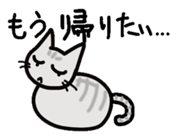 Boring daily round of cat sticker #2321647
