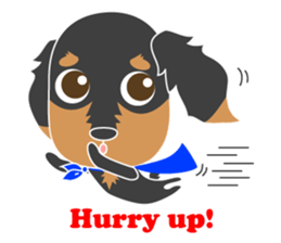 The cute little Dachshund sticker #2321952