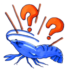 blue crawfish sticker #2323176