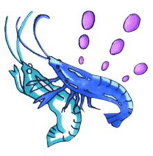 blue crawfish sticker #2323191