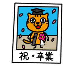 Tama's yearly event sticker #2323785
