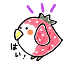 OKAMEICHIGO sticker #2323843