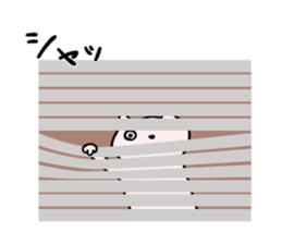 Cats stare sticker #2326822