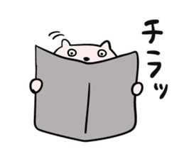 Cats stare sticker #2326824