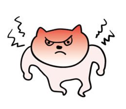 Cats stare sticker #2326838